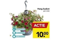 hang basket