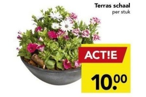 terras schaal