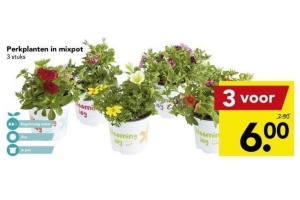 perkplanten in mixpot