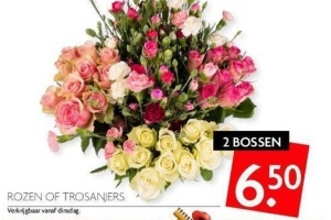 rozen of trosanjers