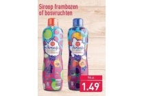 siroop frambozen of bosvruchten