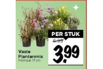 vaste plantenmix per stuk voor eur3 99