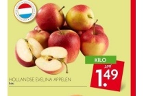hollandse evelina appelen