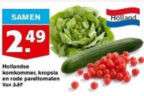 hollandse komkommer kropsla en rode pareltomaten