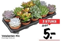 vetplanten mix