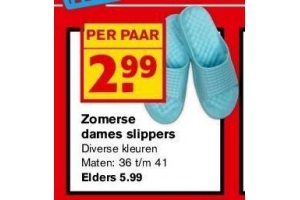 zomerse dames slippers