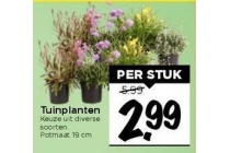 tuinplanten