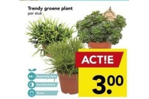 trendy groene plant