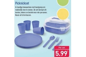 picknickset