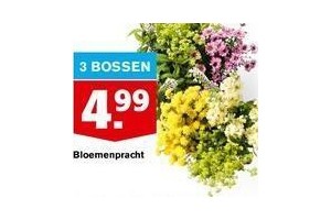 bloemenpraccht