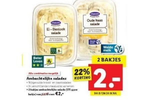 ambachtelijke salades