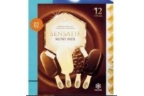 mini sensatie ijs