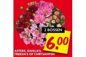 asters dahlia s freesia s of chrysanten