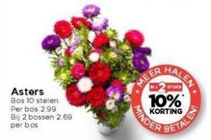 asters