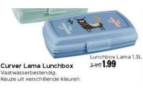 curver lama lunchbox 1 3l