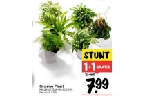 groene plant nu 2 voor eur7 99