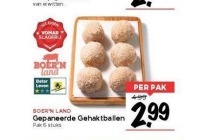 gepaneerde gehaktballen