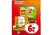 gourmet gold en bonzo adult