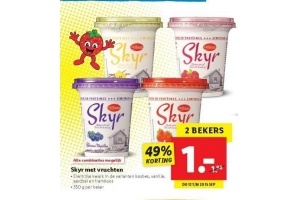 skyr met vruchten 350 gram