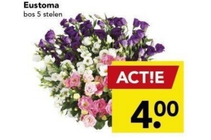 eustoma