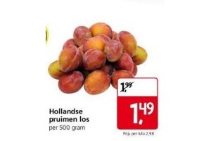 hollandse pruimen los