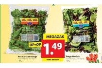 rucola slamelange of jonge bladsla xxl