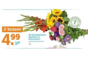 ah zonnebloemen gladiolen en zomerasters