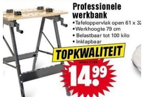 professionele werkbank