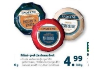 mini polderskaasbol