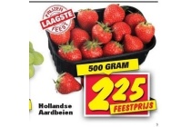 hollandse aardbeien