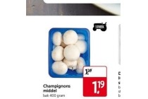 champignons middel