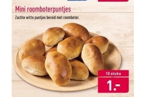 mini roomboterpuntjes