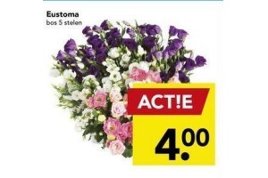 eustoma