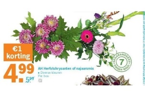 ah herfstchrysanten of najaarsmix