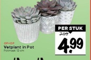 vetplant in pot