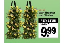 wandhanger met violen