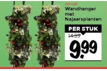 wandhanger met najaarsplanten