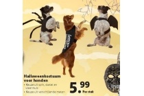 halloweenkostuum voor honden