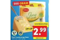 stuk gouda jonge kaas