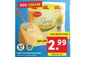 stuk gouda jonge kaas