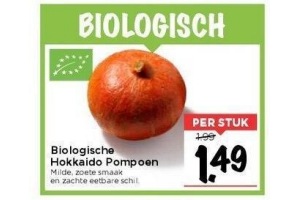 biologische hokkaido pompoen