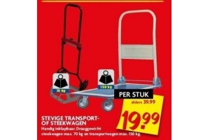 stevige transport of steekwagen