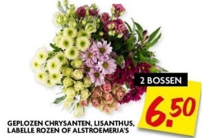 geplozen chrysanten lisanthus labelle rozen of alstroemeria s