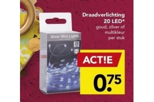 draadverlichting 20 led