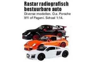 rastar radiografisch bestuurbare auto