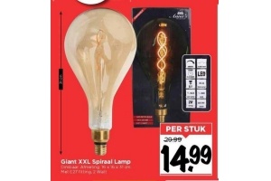 giant xxl spiraal lamp