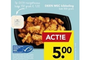 deen msc kibbeling