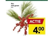 ilex met groen