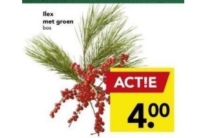 ilex met groen