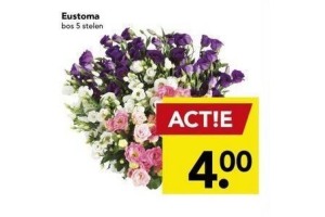 eustoma